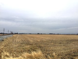 Property photo 22 - LAND AUCTION - 84+/- ACRES IN RUSH COUNTY, INDIANA